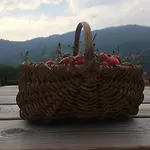 Casa Martina