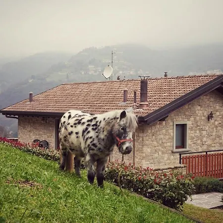 Casa Martina Alloggio per agriturismo Zogno